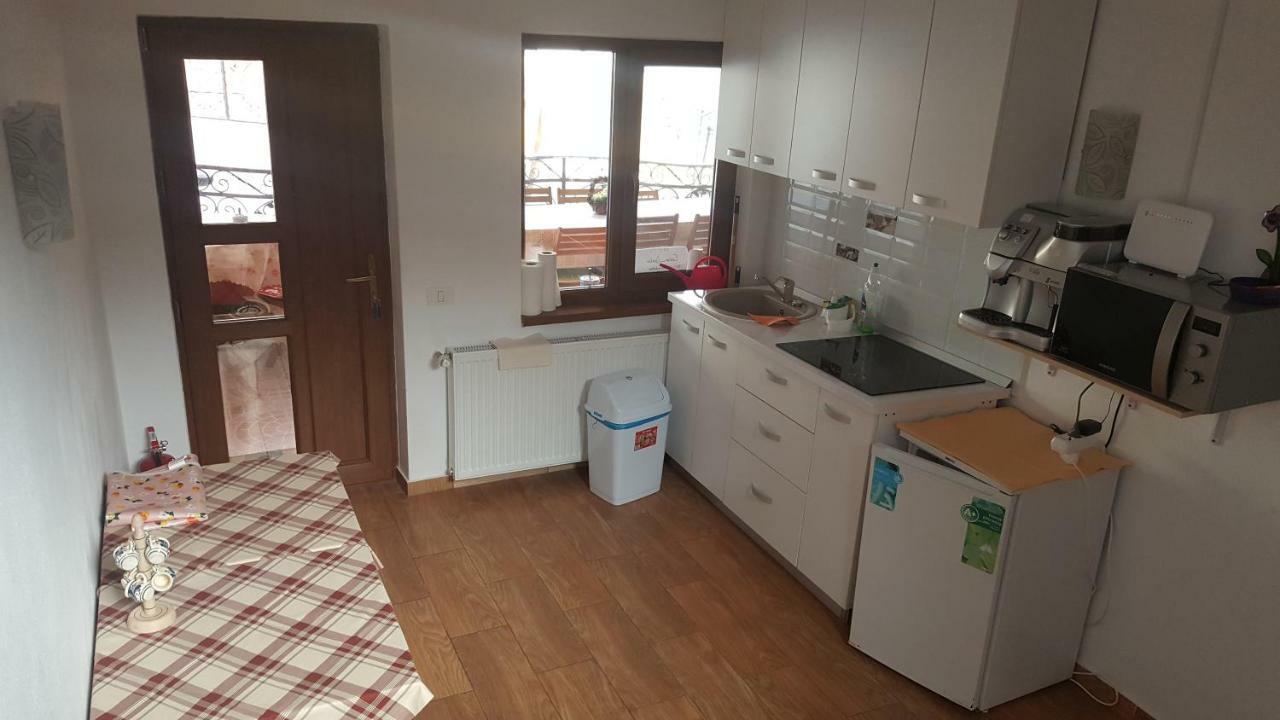 Casa Dodoc Hotel Caciulata Eksteriør billede